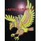 †AZTECA§FLAT.O†