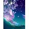 [V:4752]sakura[V:4750]host[V:4752]