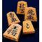～Japanese chess～