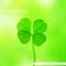 [D:F9E6]FourLeafClover[D:F9E6]