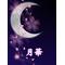 ф月華ф